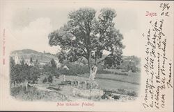 Austria 1902