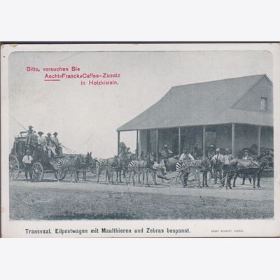 Transvaal 1905