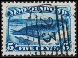 New Foundland 1880-1896