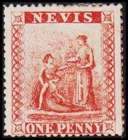 NEVIS 1876-1878