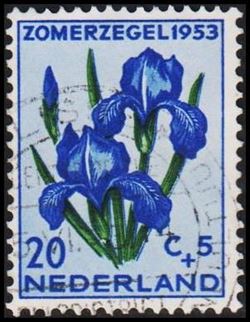 Netherlands 1953