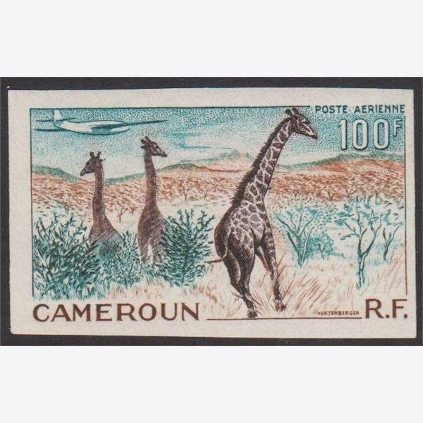 Kamerun 1955