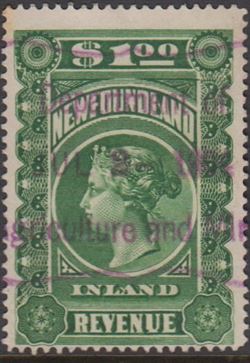 New Foundland 1900