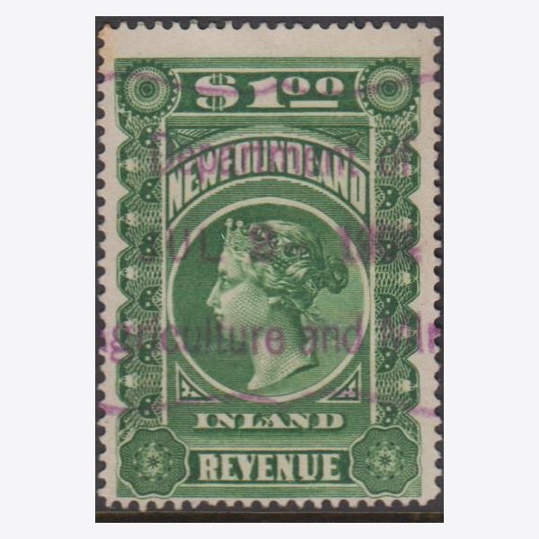 New Foundland 1900