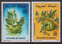Marokko 1988