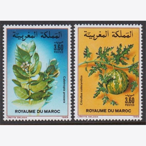 Marokko 1988