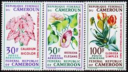 Cameroun 1969