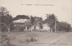 guinea 1910