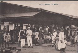 guinea 1910