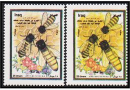 Irak 1999
