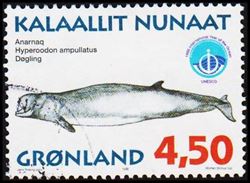 Grönland 1998