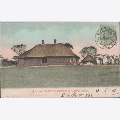 Transvaal 1907