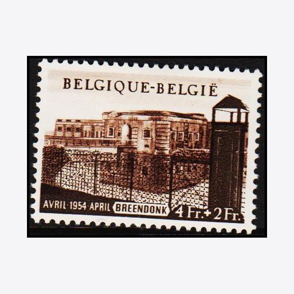 Belgien 1954
