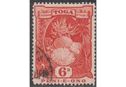 Tonga 1897