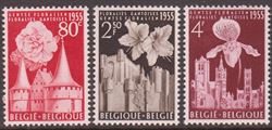 Belgium 1955
