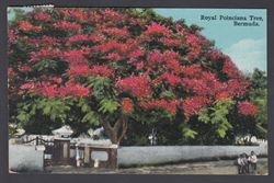 Bermuda 1938-1952