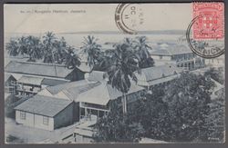 Jamaica 1911