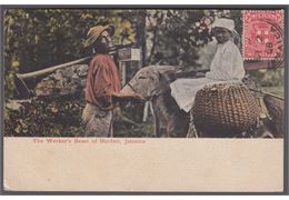 Jamaica 1908
