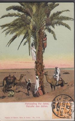 Ägypten 1907
