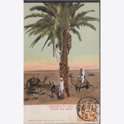 Egypten 1907