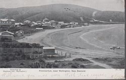 New Zealand 1905